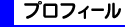 �v���t�B�[��