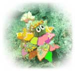 �s�n�o�y�[�W