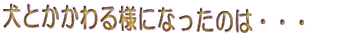 �I�[�i�[�̂Ԃ₫ 