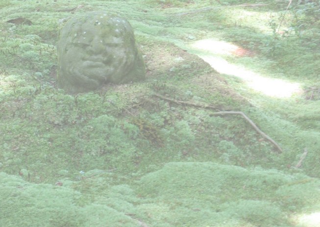 background figure