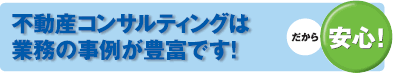 �s���Y�R���T���e�B���O�͋Ɩ��̎��Ⴊ�L�x�ł�