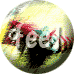 feel