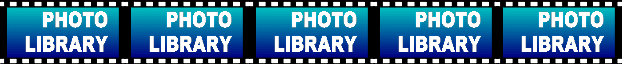 Link to Photo Library