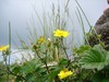 DSC00108