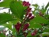 DSC00103